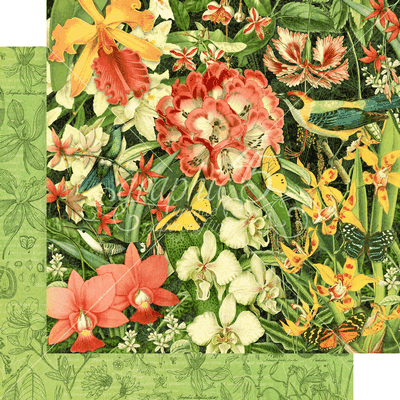 Graphic 45 Lost in Paradise: Resplendent 12x12 DS Paper (1 Sheet)