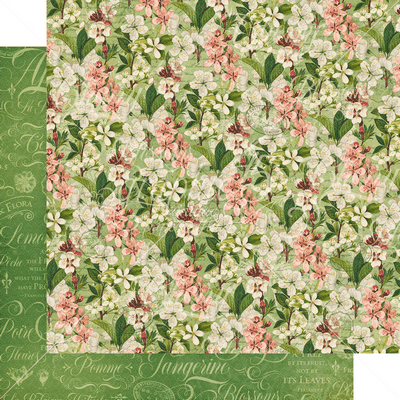 Graphic 45 Fruit & Flora: Fragrant Blossom 12x12 DS Paper (1 Sheet)