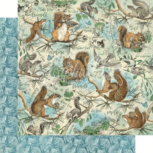 Graphic 45 Woodland Friends: Be Curious 12x12 DS Paper (1 Sheet)