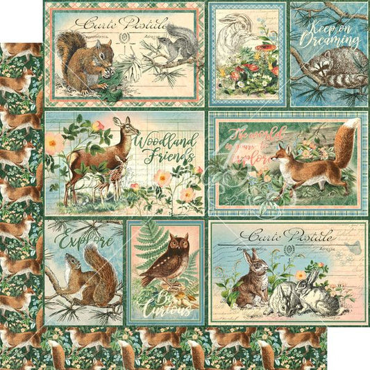 Graphic 45 Woodland Friends: Be Clever 12x12 DS Paper (1 Sheet)