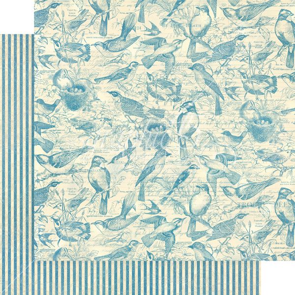 Graphic 45 Bird Watcher: Flock Together 12x12 DS Paper (1 Sheet)