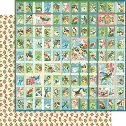 Graphic 45 Bird Watcher: Best of Friends 12x12 DS Paper (1 Sheet)