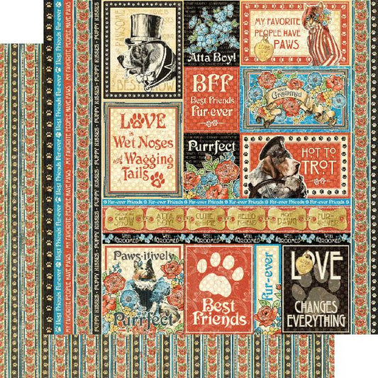 Graphic 45 Well Groomed: Hot Dog 12x12 DS Paper (1 Sheet)