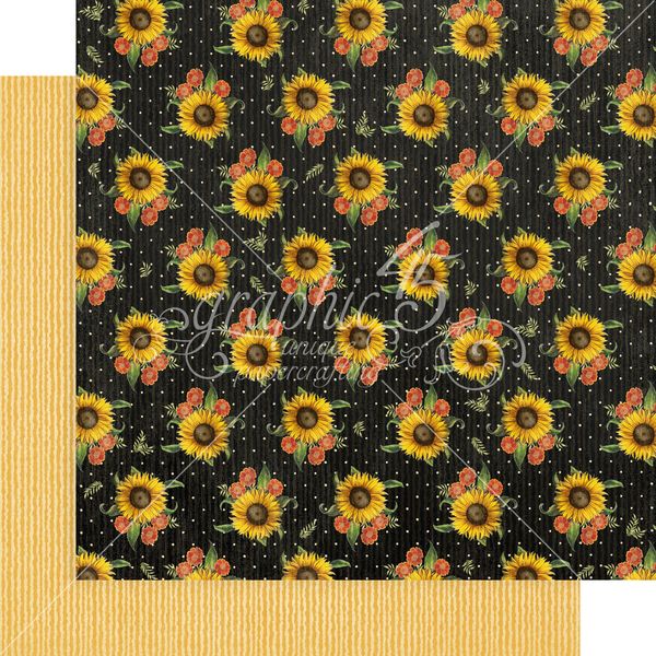 DISC Graphic 45 Let It Bee Collection: Sweet As Can Bee 12x12 DS Paper (1 Sheet)