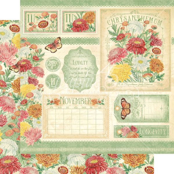 Graphic 45 Flower Market Collection: November 12x12 DS Paper (1 Sheet)