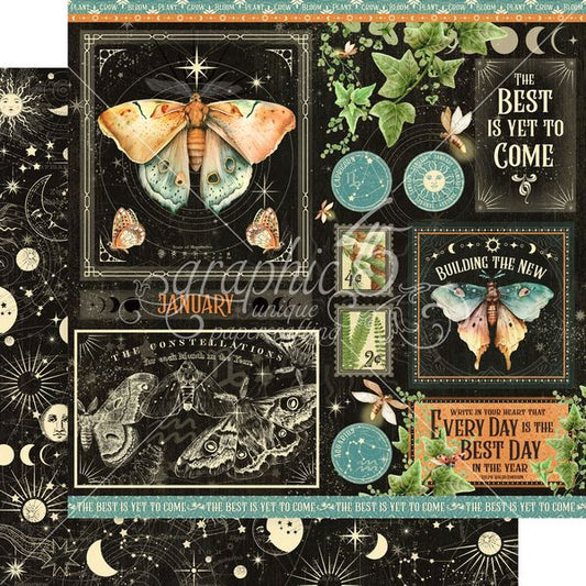 Graphic 45 Life is  Abundant:  January 12x12 DS Paper (1 Sheet)