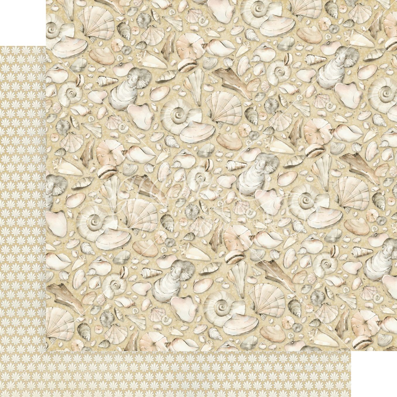 Graphic 45 The Beach is Calling:  Every Seashell Has a Story 12x12 DS Paper (1 Sheet)