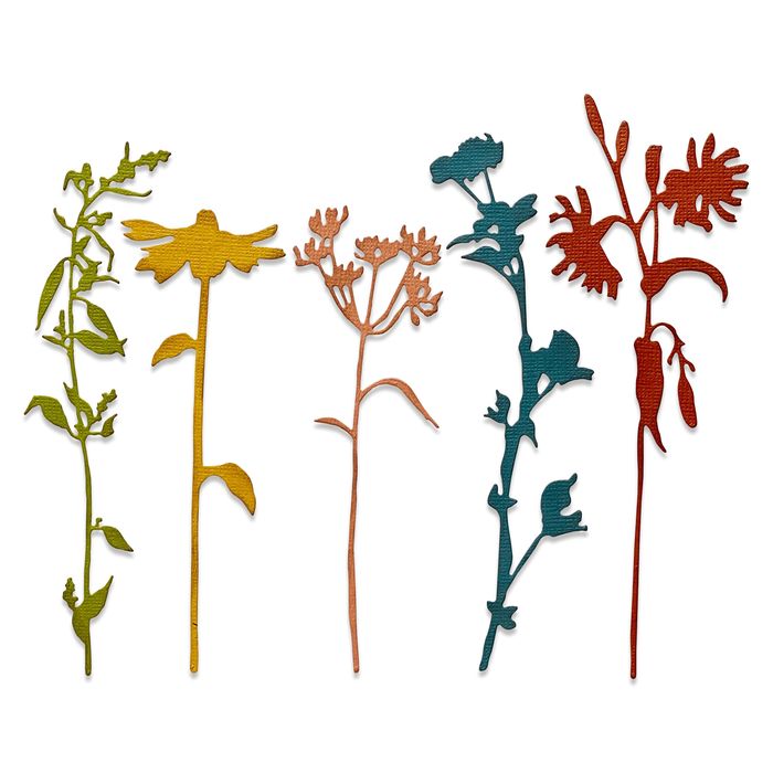 Sizzix Thinlits Dies By Tim Holtz 5/Pkg-Wildflower Stems #3