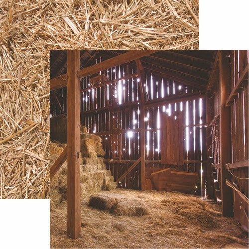 Reminisce At the Farm: In the Barn DS Paper (1 Sheet)