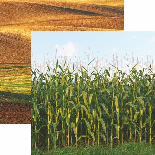 Reminisce At the Farm: Field of Dreams DS Paper (1 Sheet)