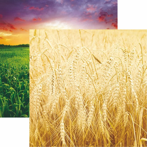 Reminisce At the Farm: Wide Open Spaces DS Paper (1 Sheet)