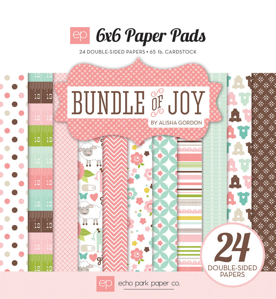 Echo Park DISC - Bundle of Joy 6x6 pad