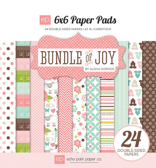 Echo Park DISC - Bundle of Joy 6x6 pad