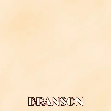 SSC Branson  Showboat DS Paper (1 sheet)