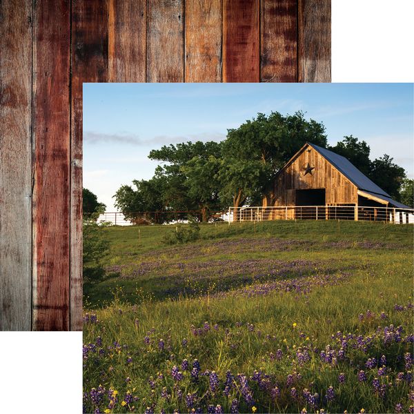 Reminisce Barnwood Beauty 1 DS Paper (1 Sheet)