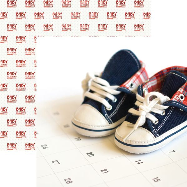 Reminisce Bump To Baby: Calendar DS Paper (1 Sheet)
