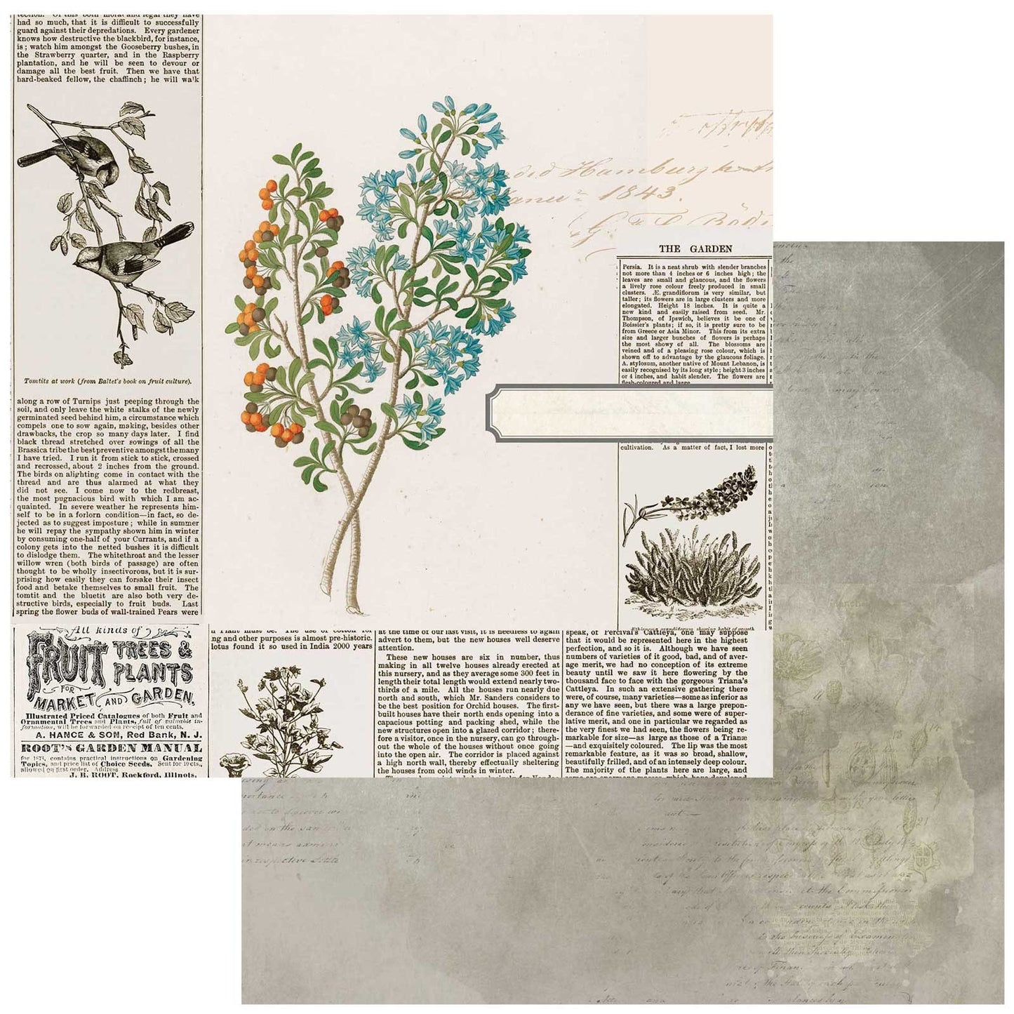 Curators Botanical Double-Sided Cardstock 12"X12"-Garden Clippings
