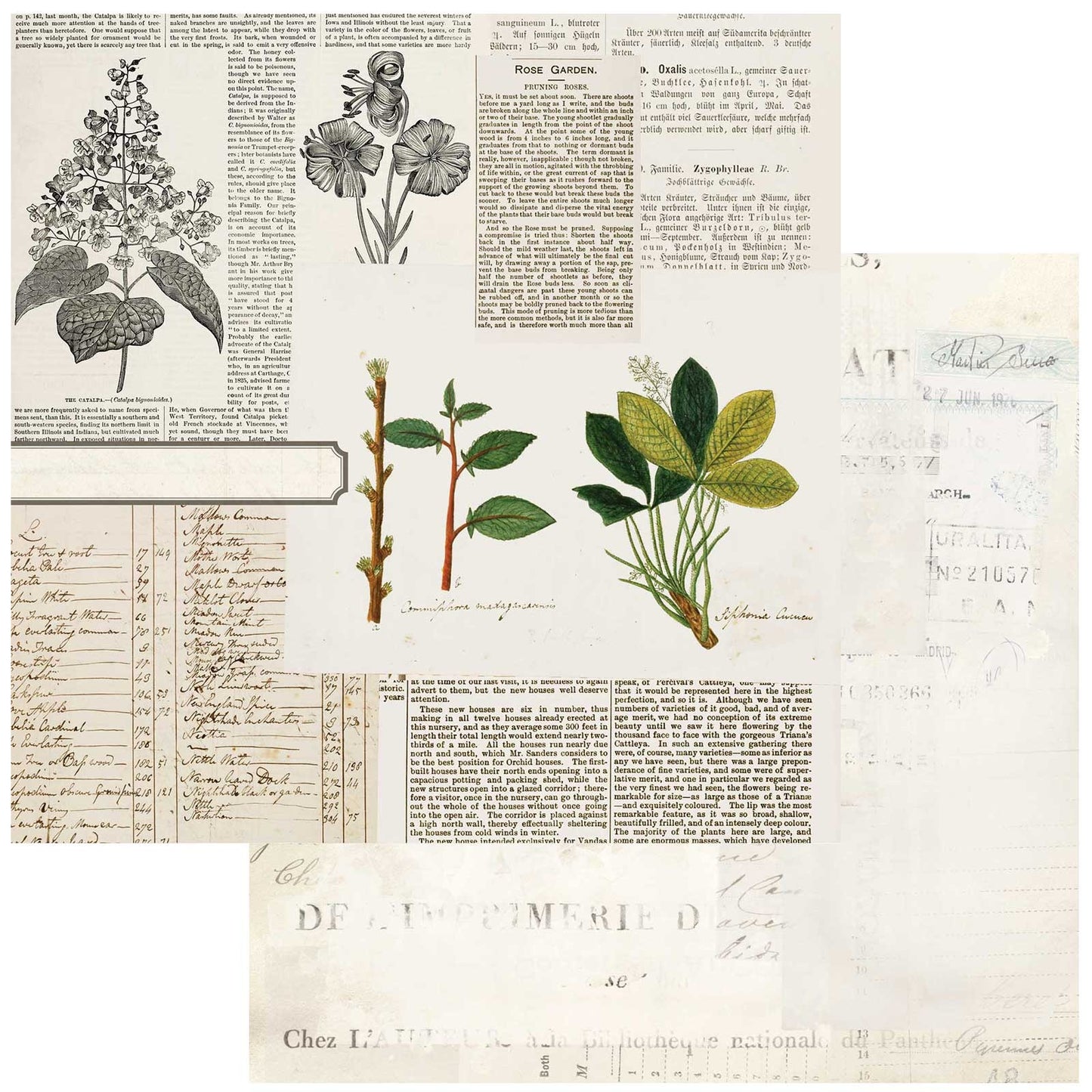Curators Botanical Double-Sided Cardstock 12"X12"-Florilegia