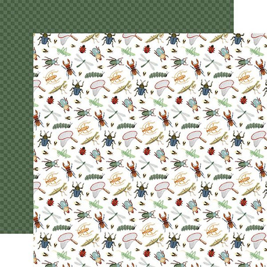 Carta Bella That's My Boy Bugs Bugs Bugs DS Paper (1 Sheet)