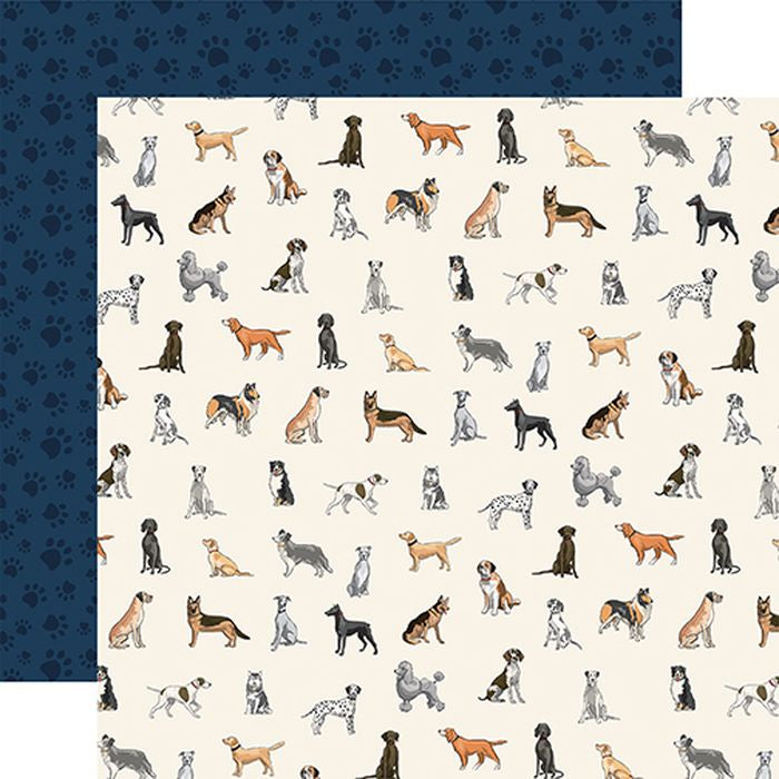 Carta Bella Best In Show: Poised Poses 12x12 DS Patterned Paper (1 Sheet)