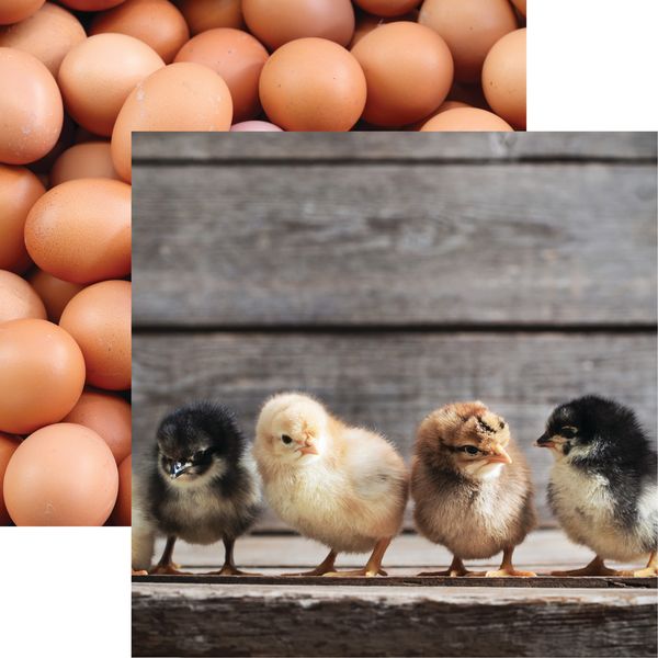 Reminisce Chicken Life: The Chicks DS Paper (1 Sheet)