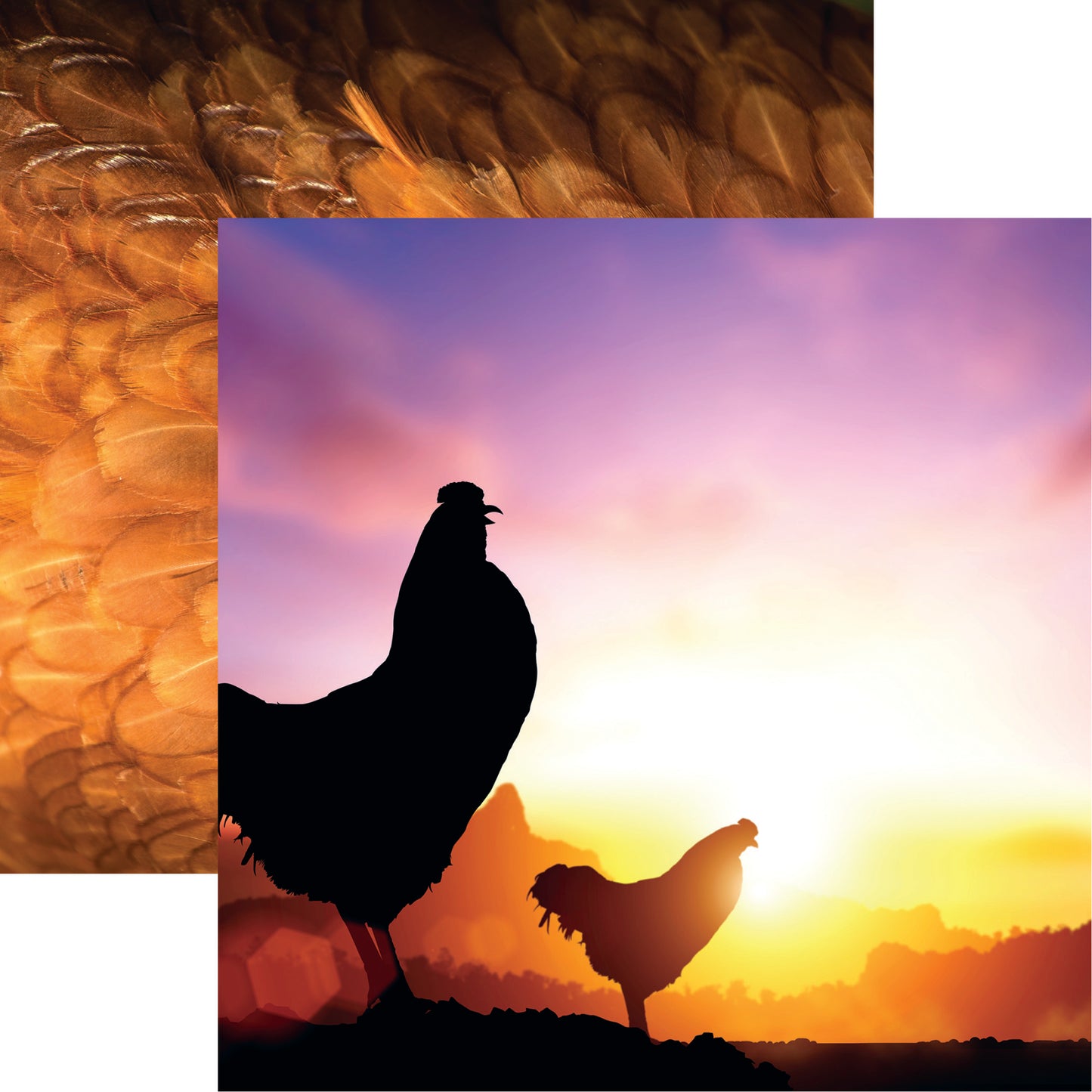 Reminisce Sunrise on the Farm DS Paper (1 Sheet)