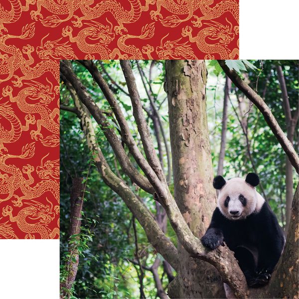 Reminisce China: Giant Panda DS Paper (1 Sheet)