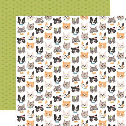 Echo Park Cat Lover: Live Love Meow DS Paper (1 Sheet)