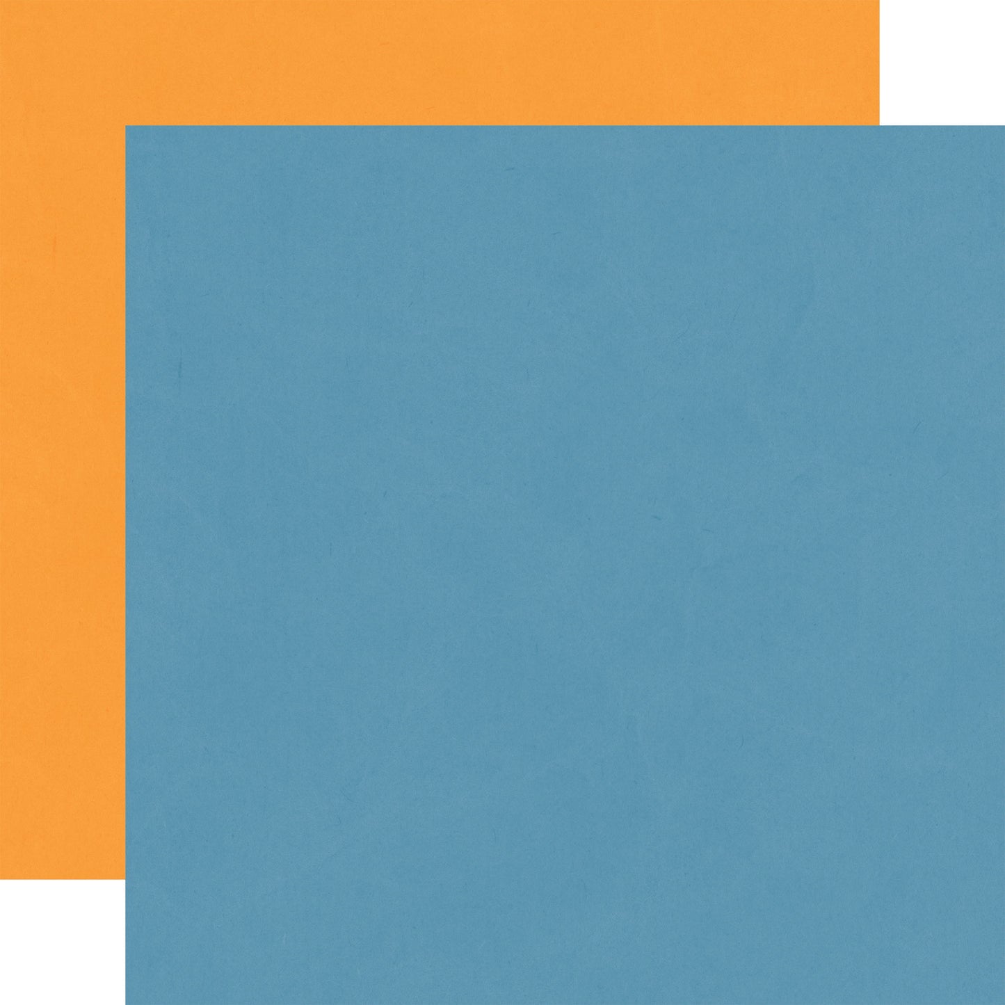 Echo Park Cat Lover: Blue / Orange 12x12 Coordinating Solid DS Paper (1 Sheet)