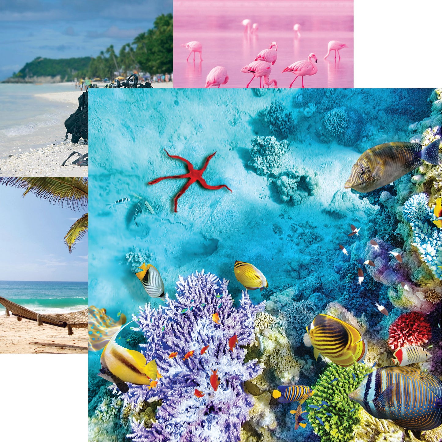 Reminisce Coastal Serenade: Underwater DS Paper (1 Sheet)
