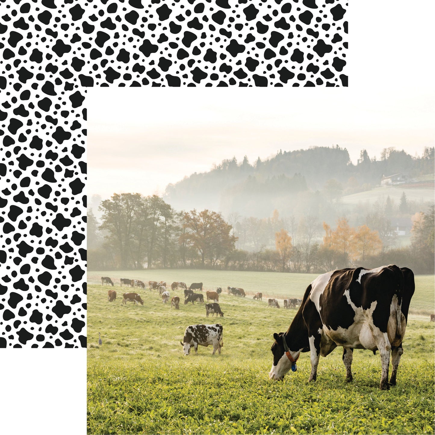 Reminisce Holy Cow: Holstein DS Paper (1 Sheet)