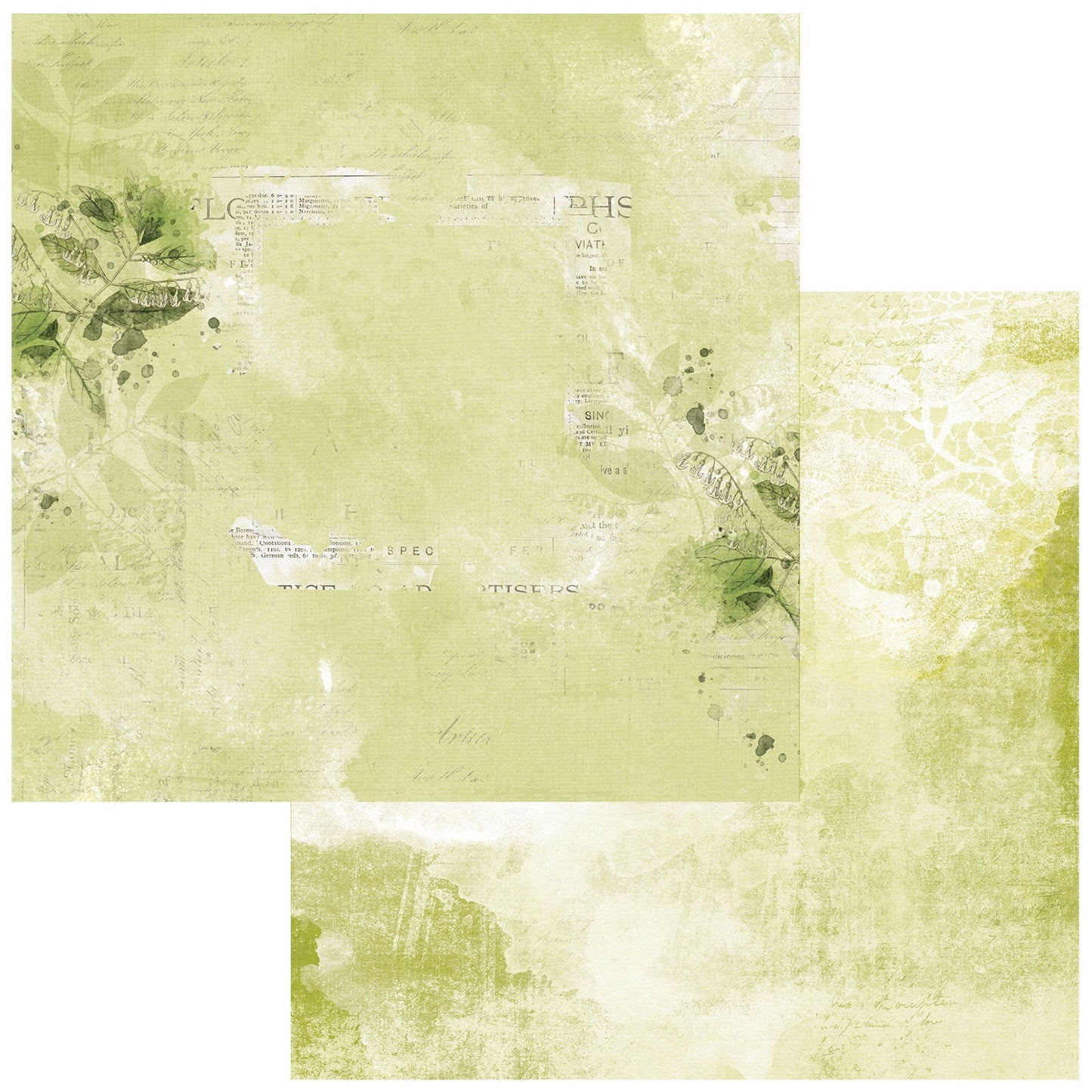 Color Swatch: Grove #1 12"X12" Double-Sided Cardstock - Single Sheet