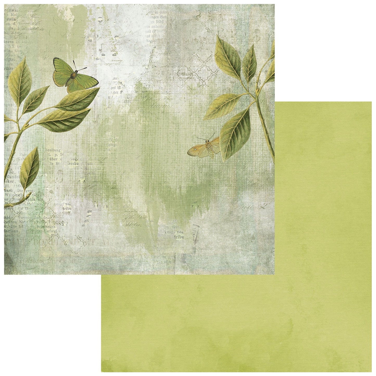 Color Swatch: Grove #3 12"X12" Double-Sided Cardstock - Single Sheet
