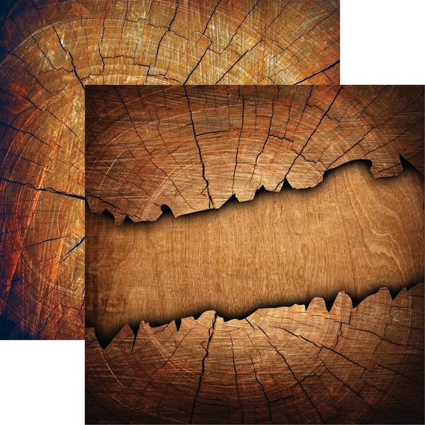 Reminisce Elegand Woods 1 DS Paper (1 Sheet)