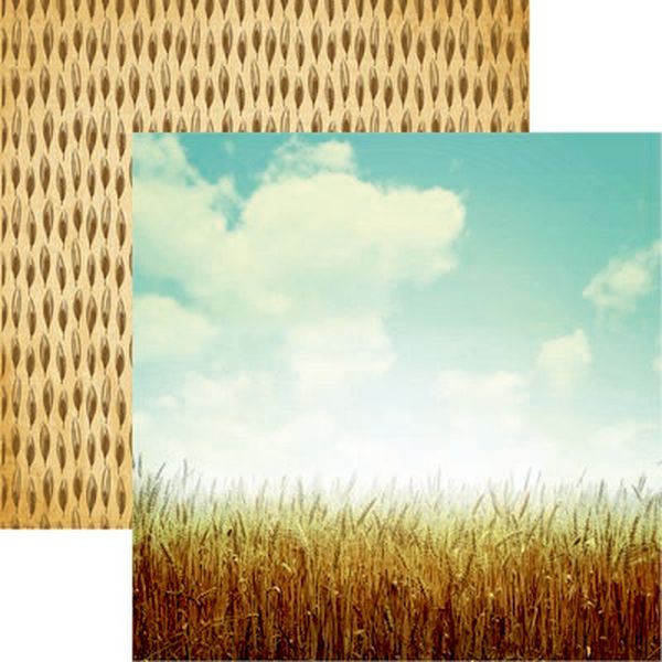 Reminisce Farm Fresh: Wheat Fields Scrapb DS Paper (1 Sheet)