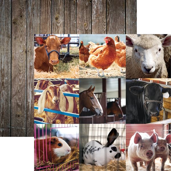 Reminisce Farm Animals:Show Animalss DS Paper (1 Sheet)
