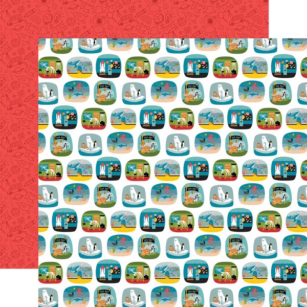 Echo Park Field Trip Adventure Snapshots 12x12 DS Patterned Paper (1 Sheet) (1 Sheet)
