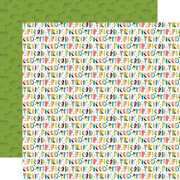 Echo Park Field Trip Funky Field Trip Fun 12x12 DS Patterned Paper (1 Sheet) (1 Sheet)