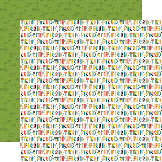 Echo Park Field Trip Funky Field Trip Fun 12x12 DS Patterned Paper (1 Sheet) (1 Sheet)