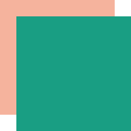 Green / Pink  Coordinating Solid DS Paper (1 Sheet)