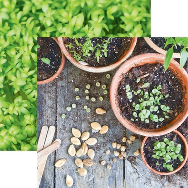 Reminisce Growing Garden: Sowing Seeds DS Paper (1 Sheet)