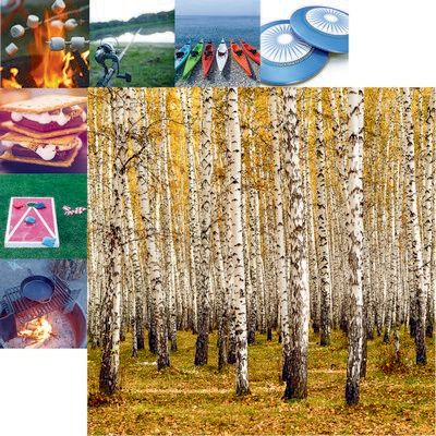 Reminisce Happy Camper: Forest for the Tr DS Paper (1 Sheet)