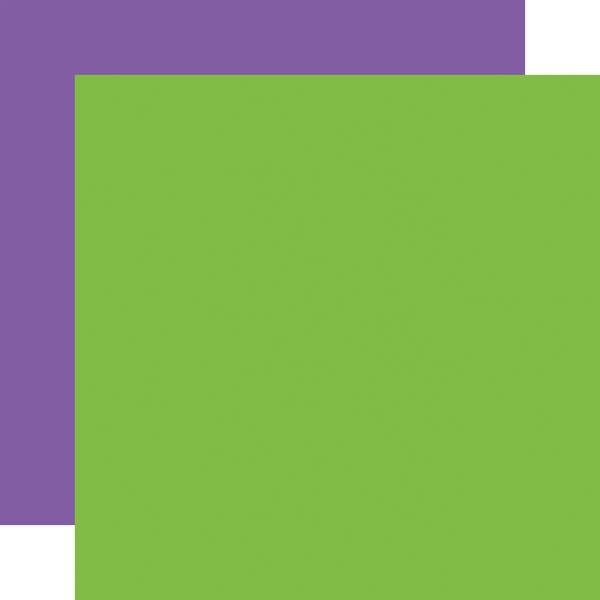 Echo Park Halloween Parade: Green / Purple 12x12 DS Coordinating Solid Paper (1 Sheet)