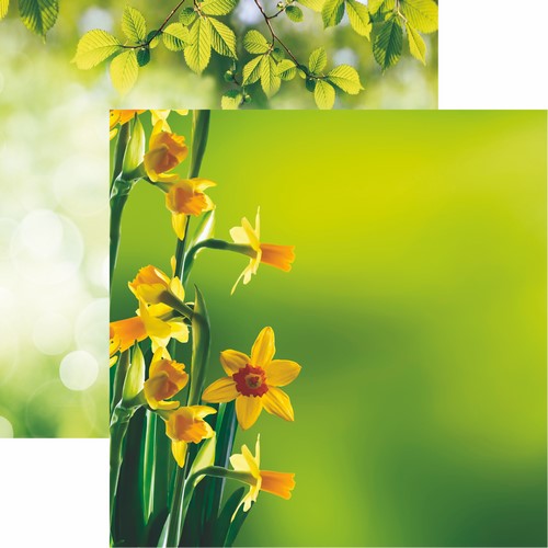 Reminisce Hello Spring: Daffodils Paper DS Paper (1 Sheet)