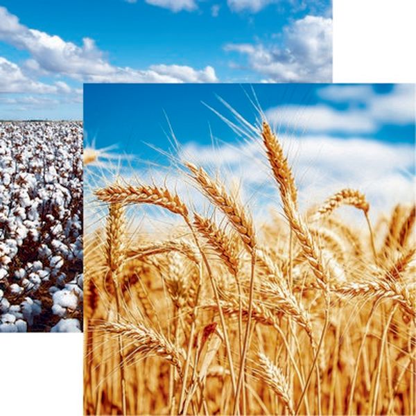 Reminisce In the Field: Wheat Paper DS Paper (1 Sheet)