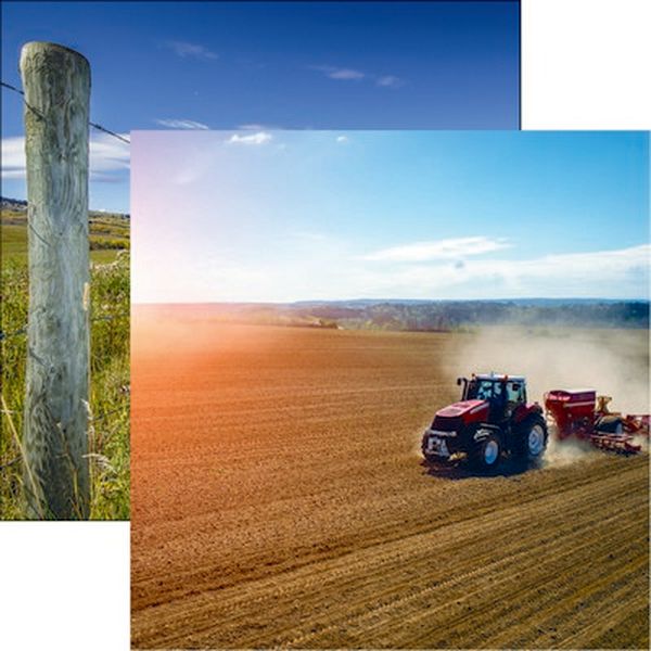 Reminisce In the Field: Field Work Paper DS Paper (1 Sheet)