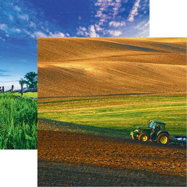 Reminisce In the Field: Spring Paper DS Paper (1 Sheet)