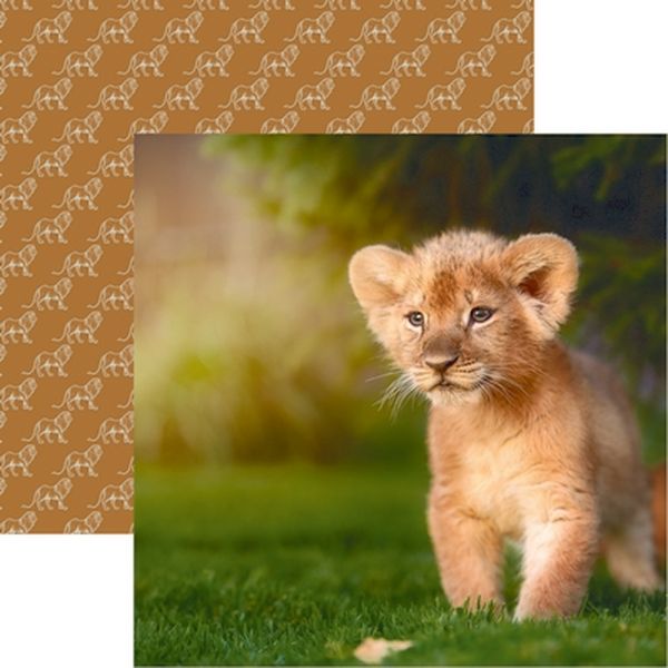 Reminisce King of the Jungle: Lion Cub Pa DS Paper (1 Sheet)