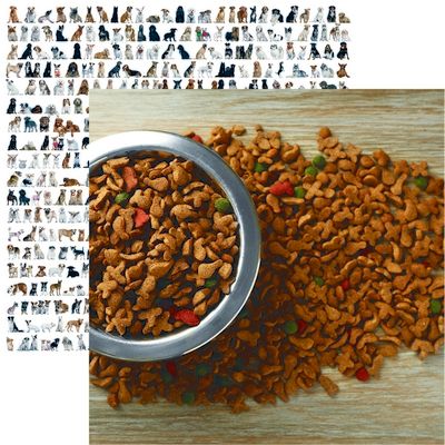 Reminisce Love My Dog: Dog Treats Paper DS Paper (1 Sheet)