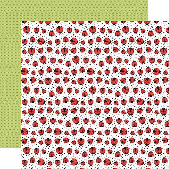 Echo Park - Little Things Mean A Lot Lovely Ladybugs 12x12 DS Patterned Paper (1 Sheet)